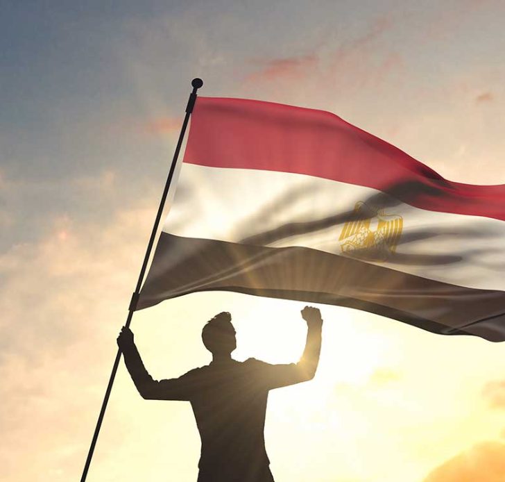 العلم المصري والقنصلية العامة